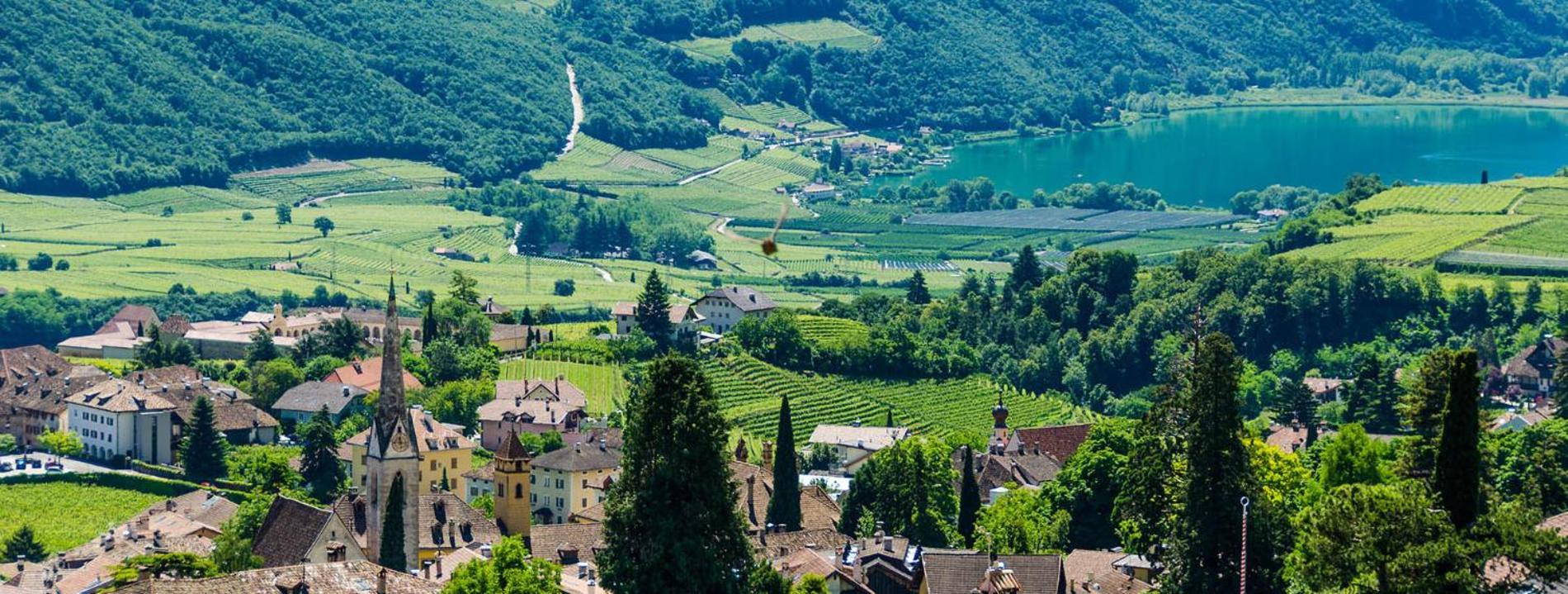 Apartamento Haus Pobitzer Caldaro sulla Strada del Vino Exterior foto