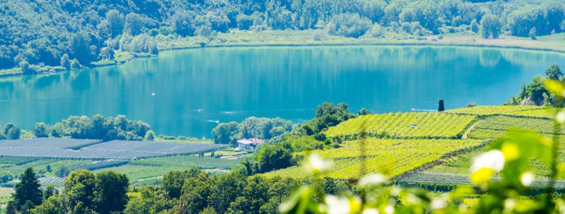 Apartamento Haus Pobitzer Caldaro sulla Strada del Vino Exterior foto